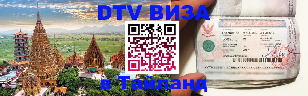 Оформление DTV визы под ключ: стоимость и тарифы, только загранпаспорт - 